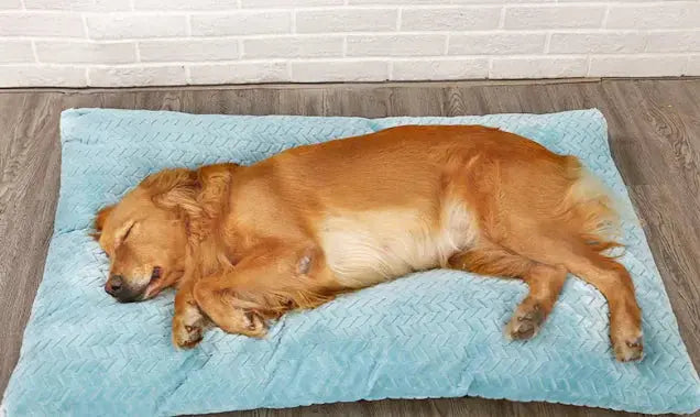 Plush Pet Bed Yousef