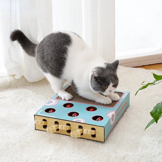 Cat Toy Whack-a-Mole Cat Scratching Board Toy Grinding Claw Rest Play Funny Cat Interactive Multifunctional Cat Supplies Dropshipman