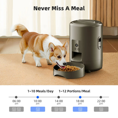 2L with video automatic cat feeder, intelligent timed and quantitative feeding, cat, dog and pet feeding bowl controlled by APP