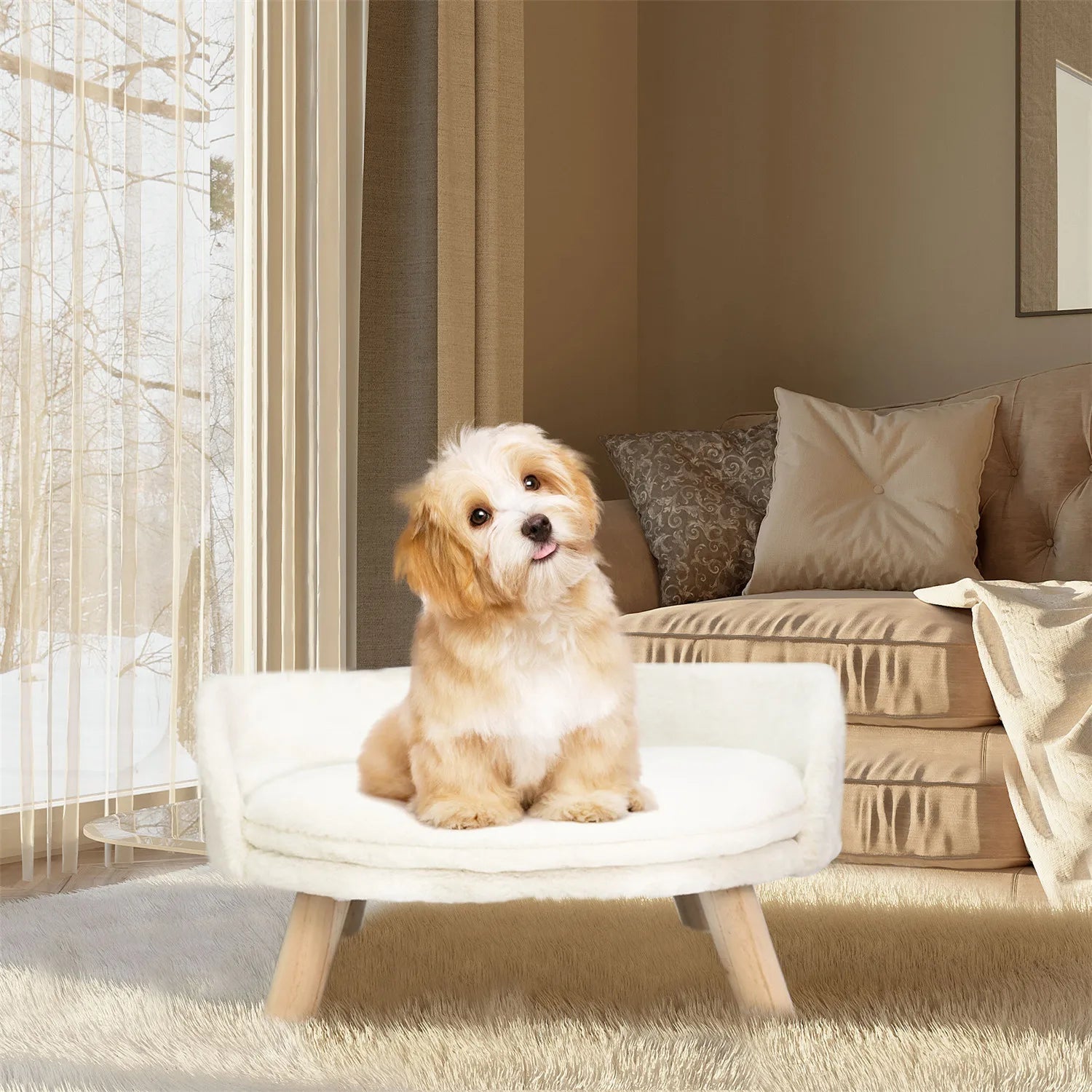 Pet Sofa Bed Raised Cat Chair Small Dog Couch Bed Removable Cushion Sleep House Dropshipman