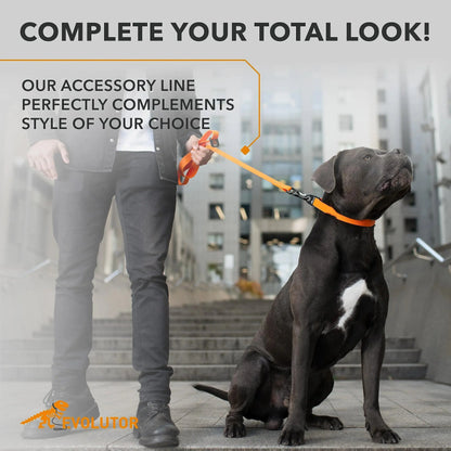 Orange Extra Heavy Duty Dog Leash 4 Ft x 1 in for Large Medium and Small Dogs Yousef
