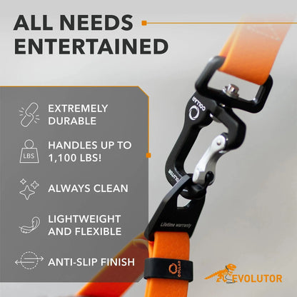 Orange Extra Heavy Duty Dog Leash 4 Ft x 1 in for Large Medium and Small Dogs Yousef
