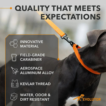 Orange Extra Heavy Duty Dog Leash 4 Ft x 1 in for Large Medium and Small Dogs Yousef